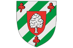 Dorpswapen 540
